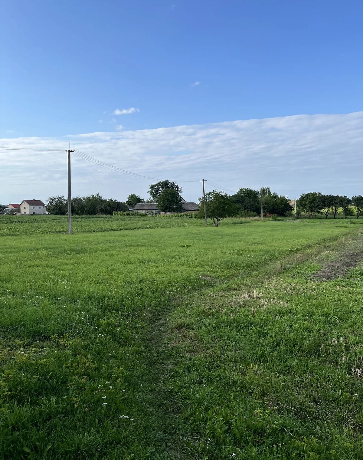Ділянка 27.21 сотки, Куровичі: під житлову забудову, фундамент, електрика - фото 2