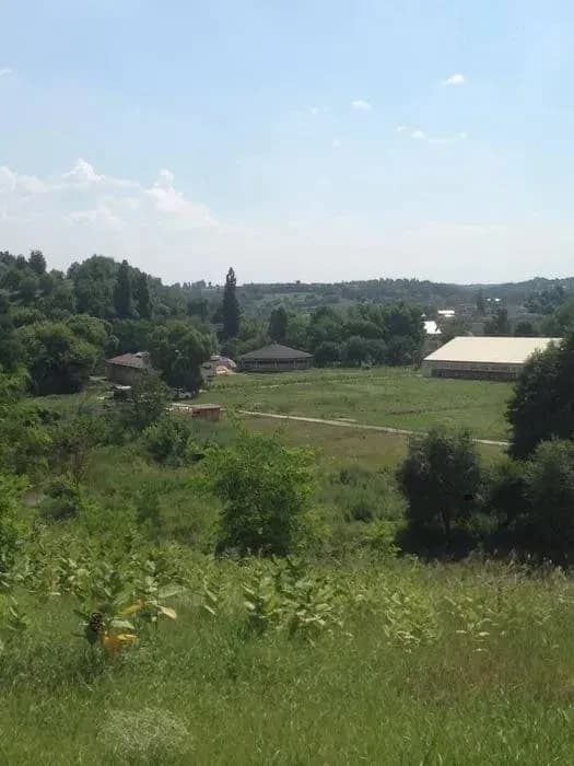 Ділянка 1 200 соток, Жуківці: 21 денник, манеж, 8 левад - фото 4