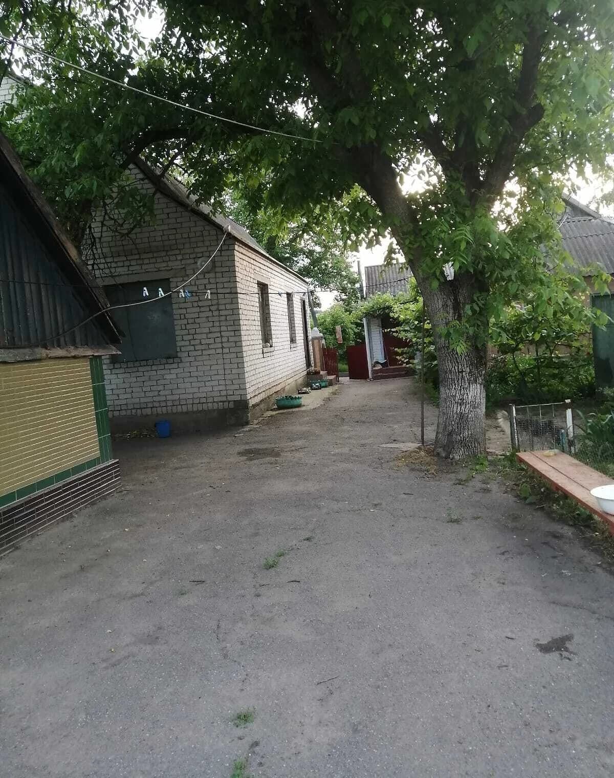 Дача, Стебне: 60 соток, газове і пічне опалення - фото 3