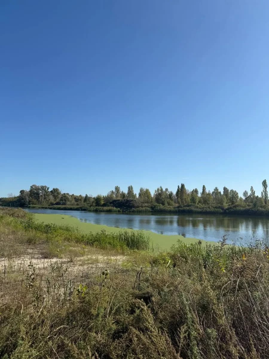 Ділянка 15 соток, Вишеньки: асфальтована дорога, до 15 км від Києва - фото 1