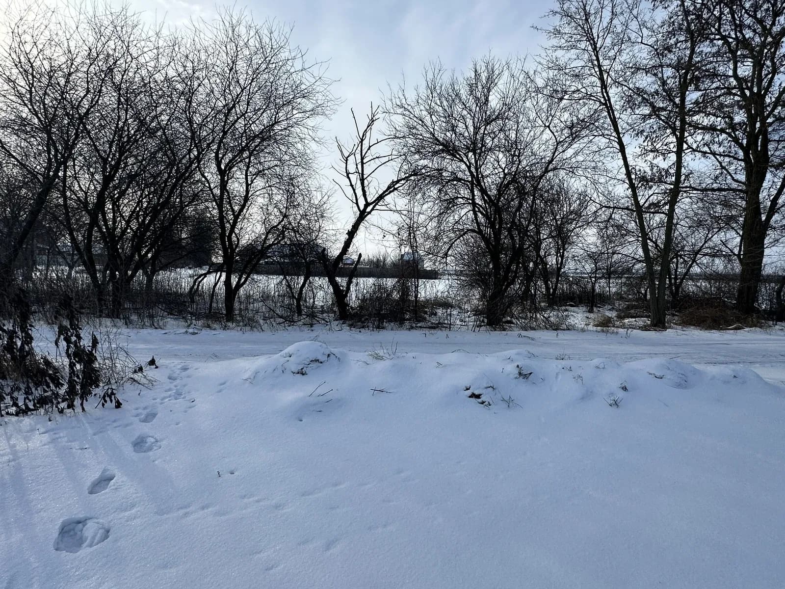 Ділянка 22 соток, Іванків: кутова, для будівництва, торг - фото 5