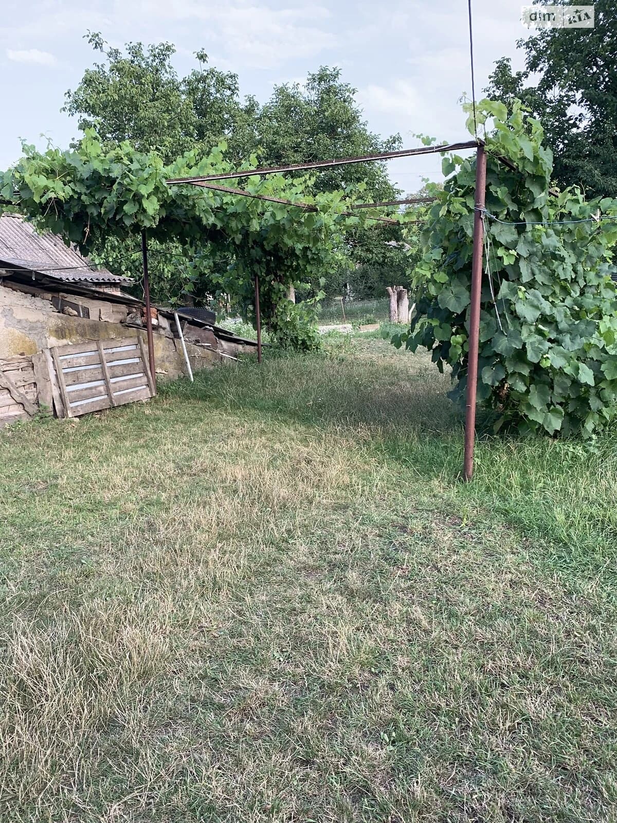 Будинок, Сутківці: 2 спальні, гараж із підвалом, 45 соток - фото 4