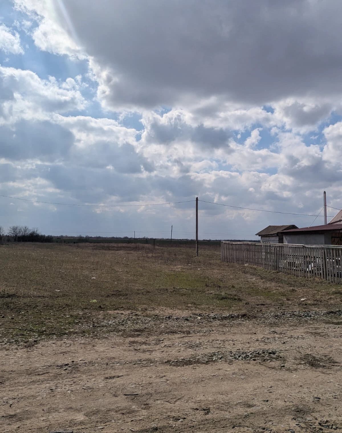 Ділянка 10 соток, Черняхів: під житлову забудову, чорнозем - фото 3