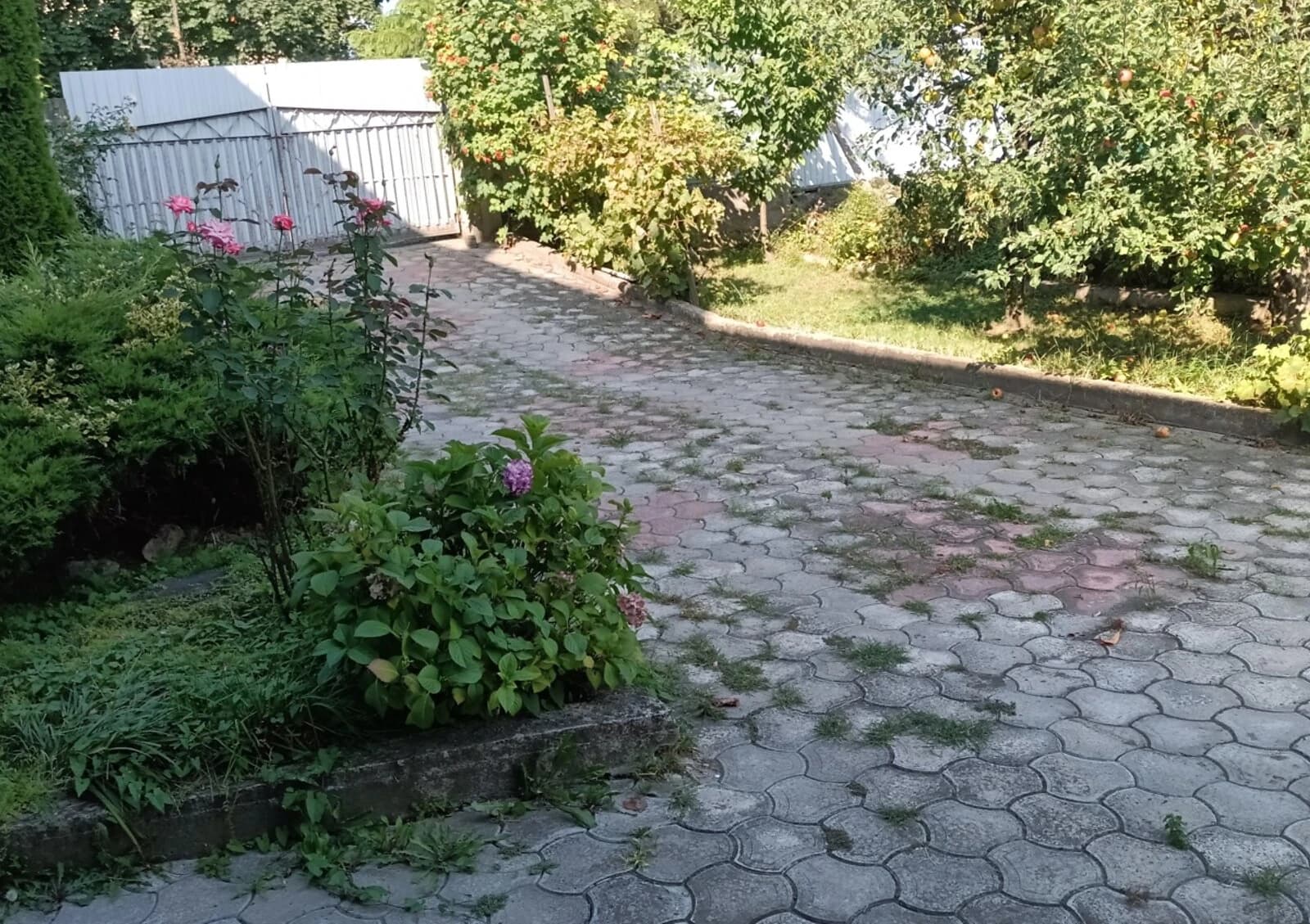 5-кімнатна квартира, Центр: кухня-студія, тераса, євроремонт - фото 3