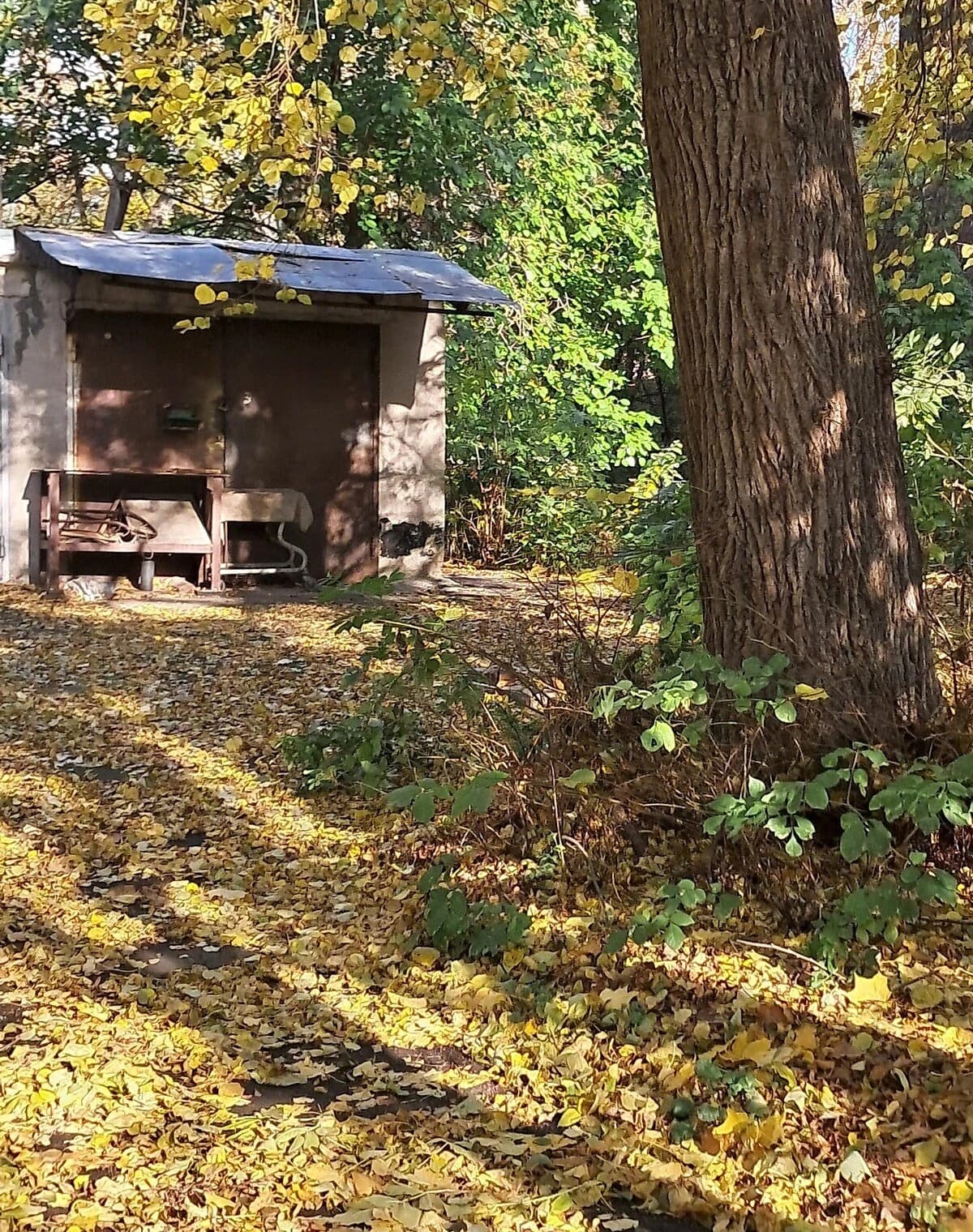 Ділянка 10 соток, Лук'янівка: житлова забудова, газ, сад - фото 3