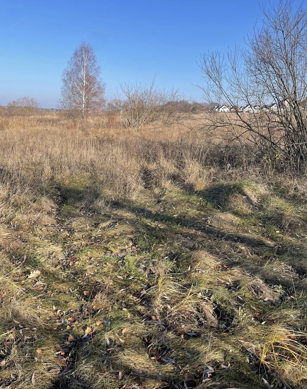 Ділянка 20 соток, Забуччя: під житлову забудову, електрика