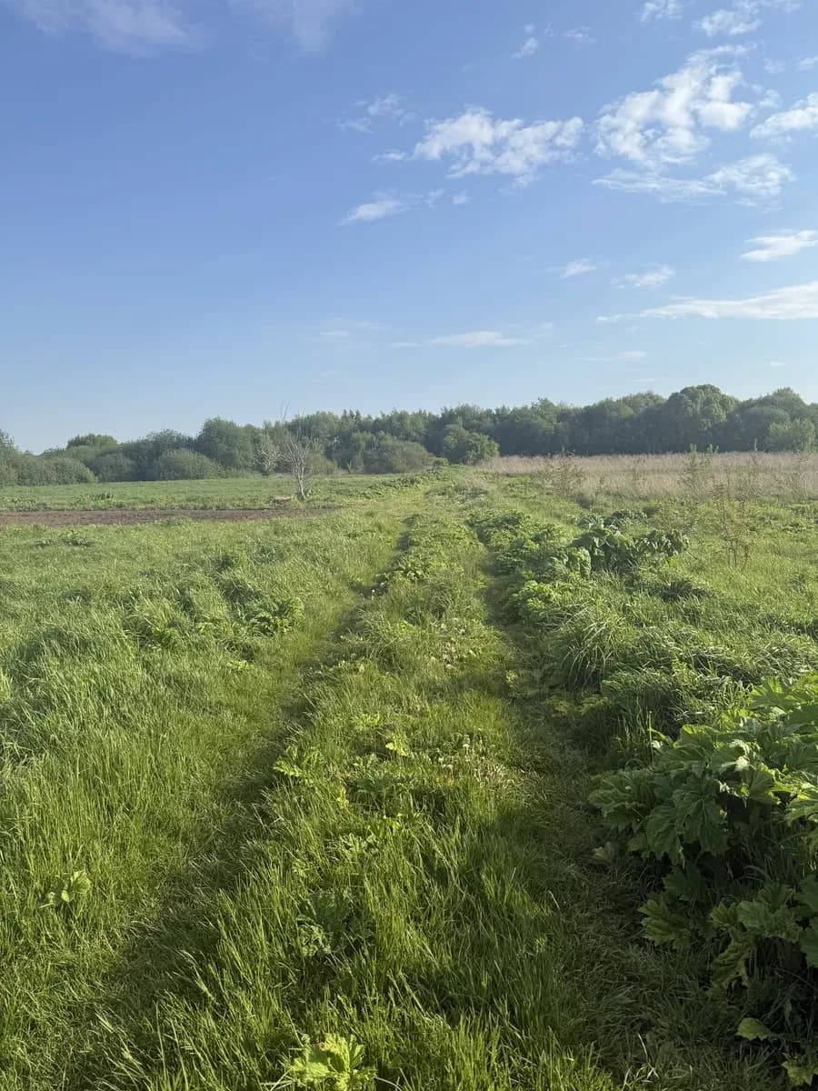Ділянка 10 соток, Новий Двір: під житлову забудову, рівна - фото 5