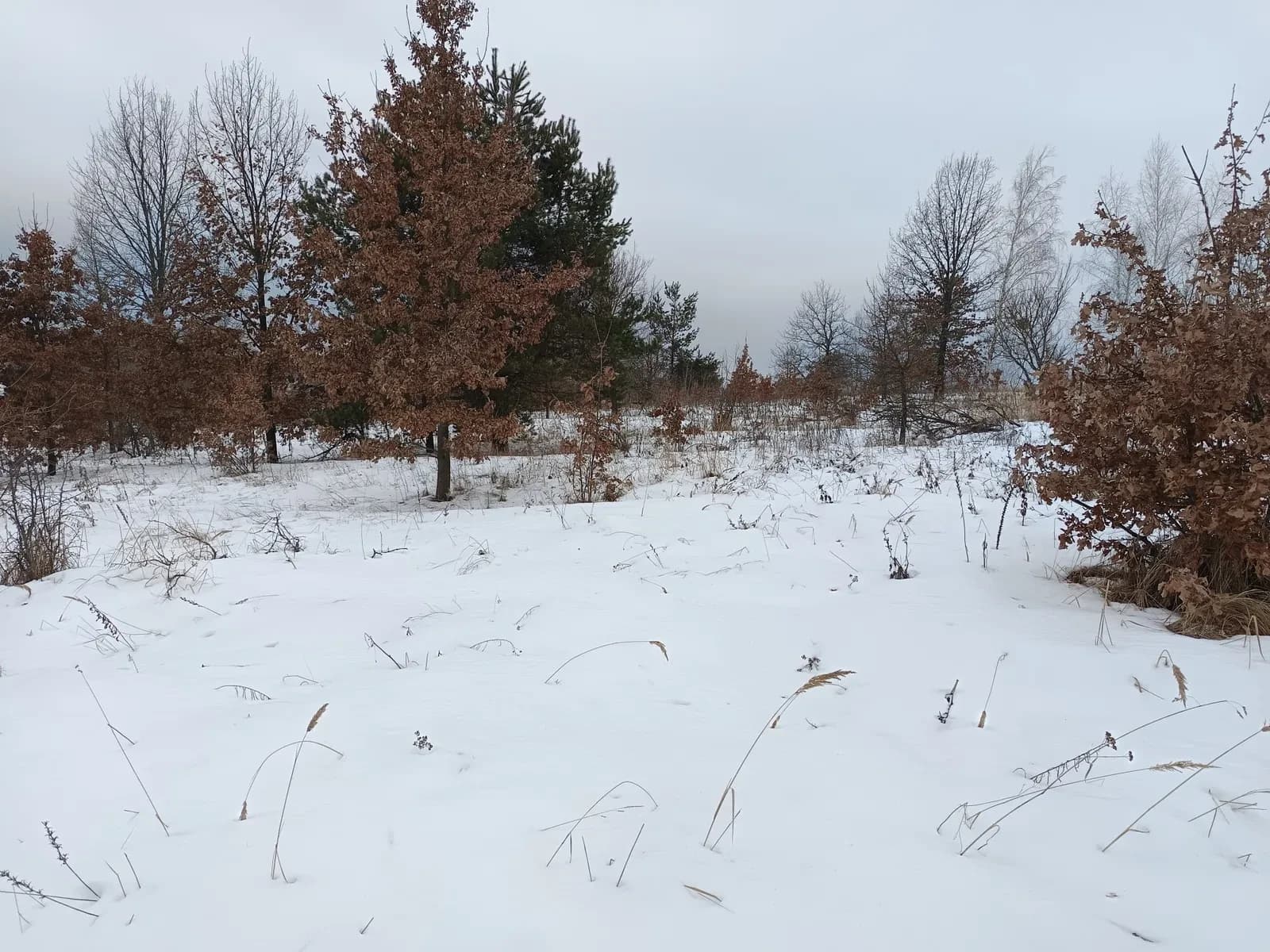 Ділянка 16,67 соток, Михайлівка-Рубежівка: біля озера, кутова - фото 5