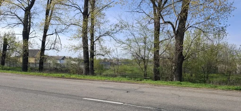 Ділянка 48 соток, Лобойківка: 100 м до дороги, огороджена