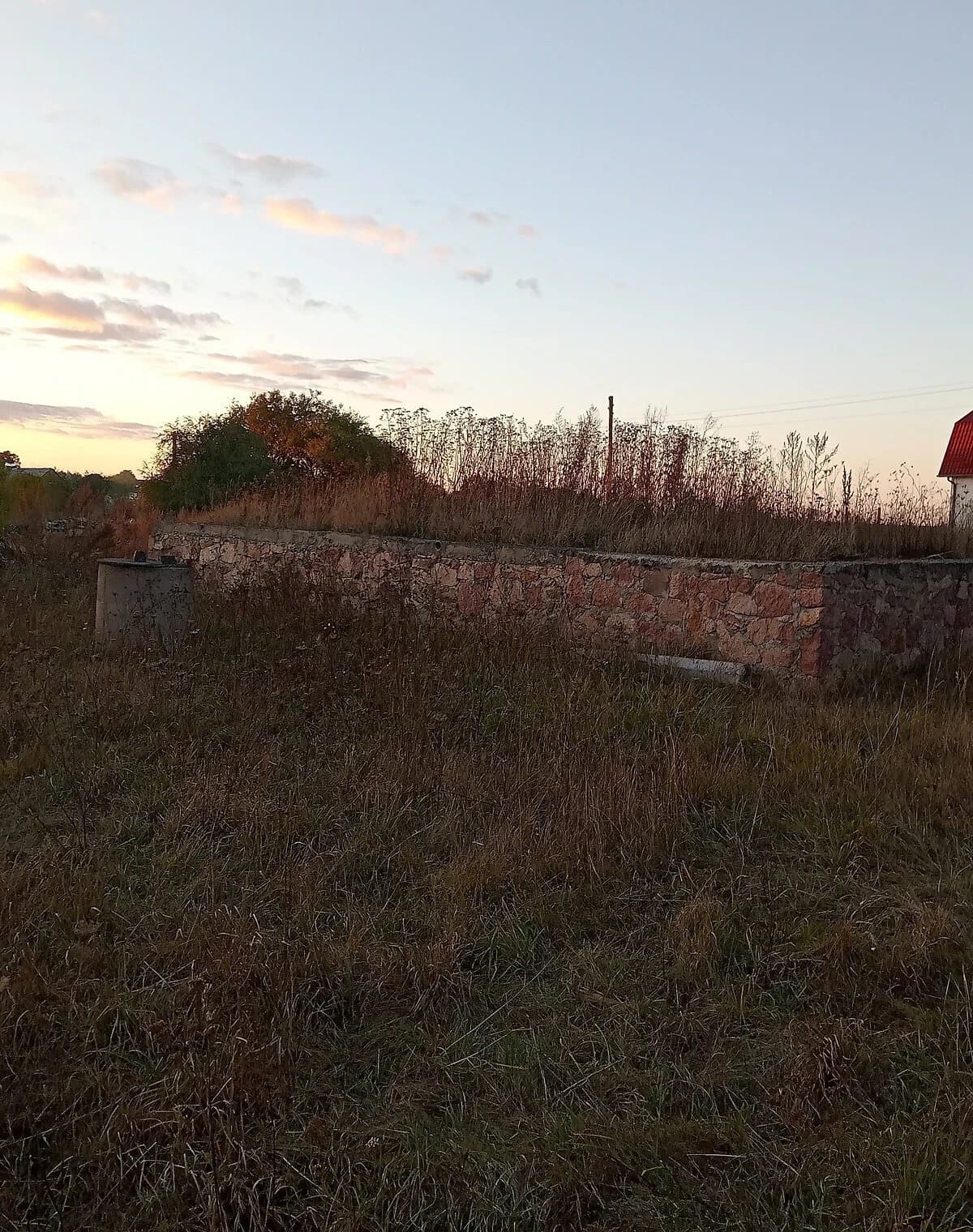 Ділянка 19 соток, Черняхів: житлова забудова, город і фундамент - фото 4
