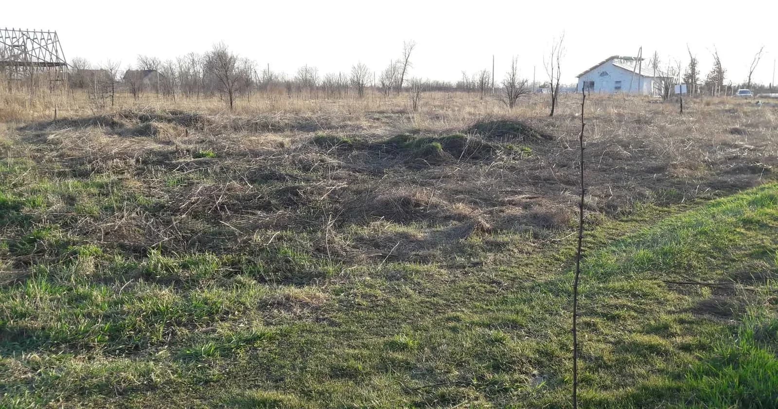 Ділянка 10 соток, Петропавлівське: електрика, 500 м до інфраструктури - фото 5