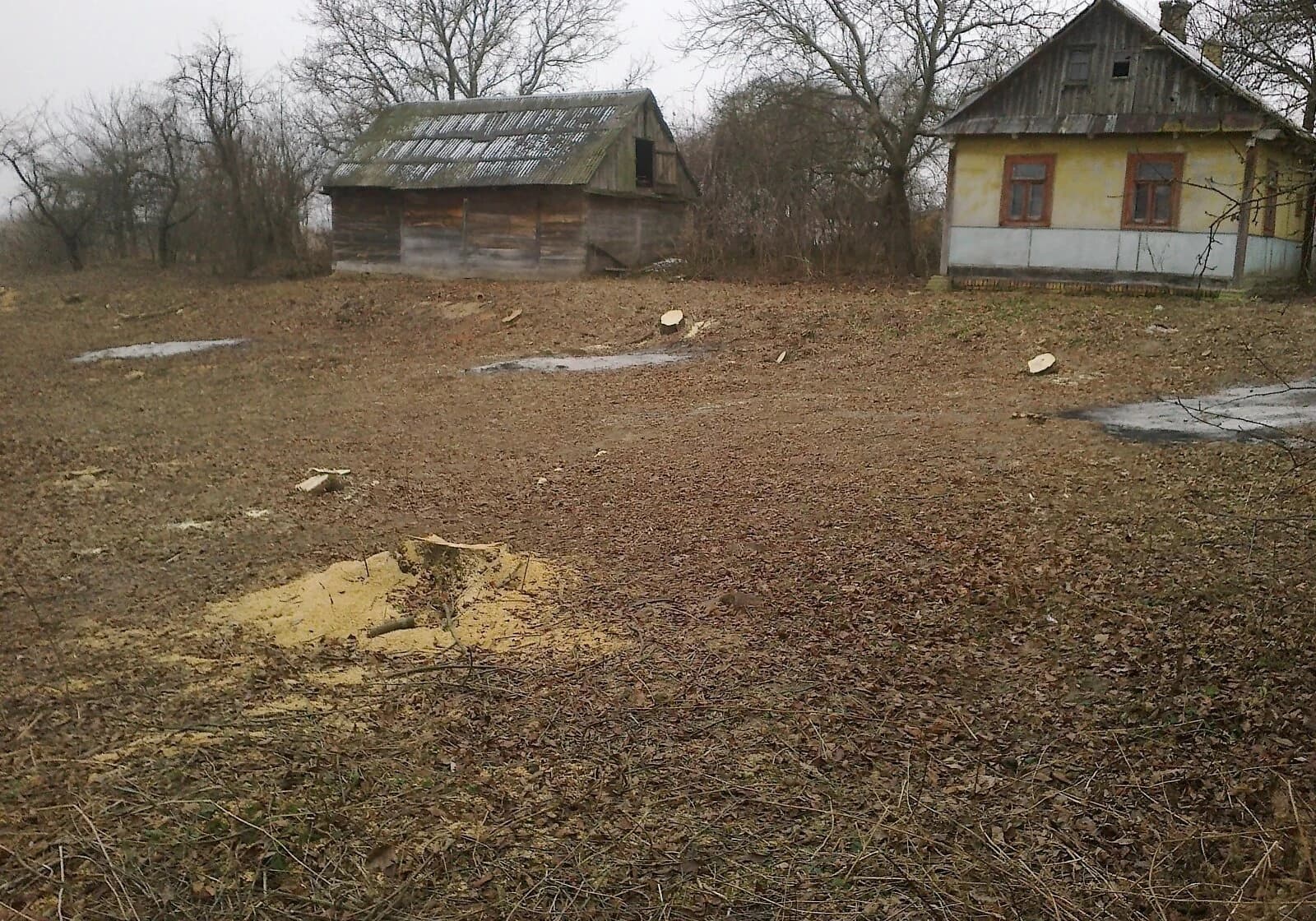 Ділянка 19.4 сотки, Милушин: під житлову забудову, під гараж - фото 3