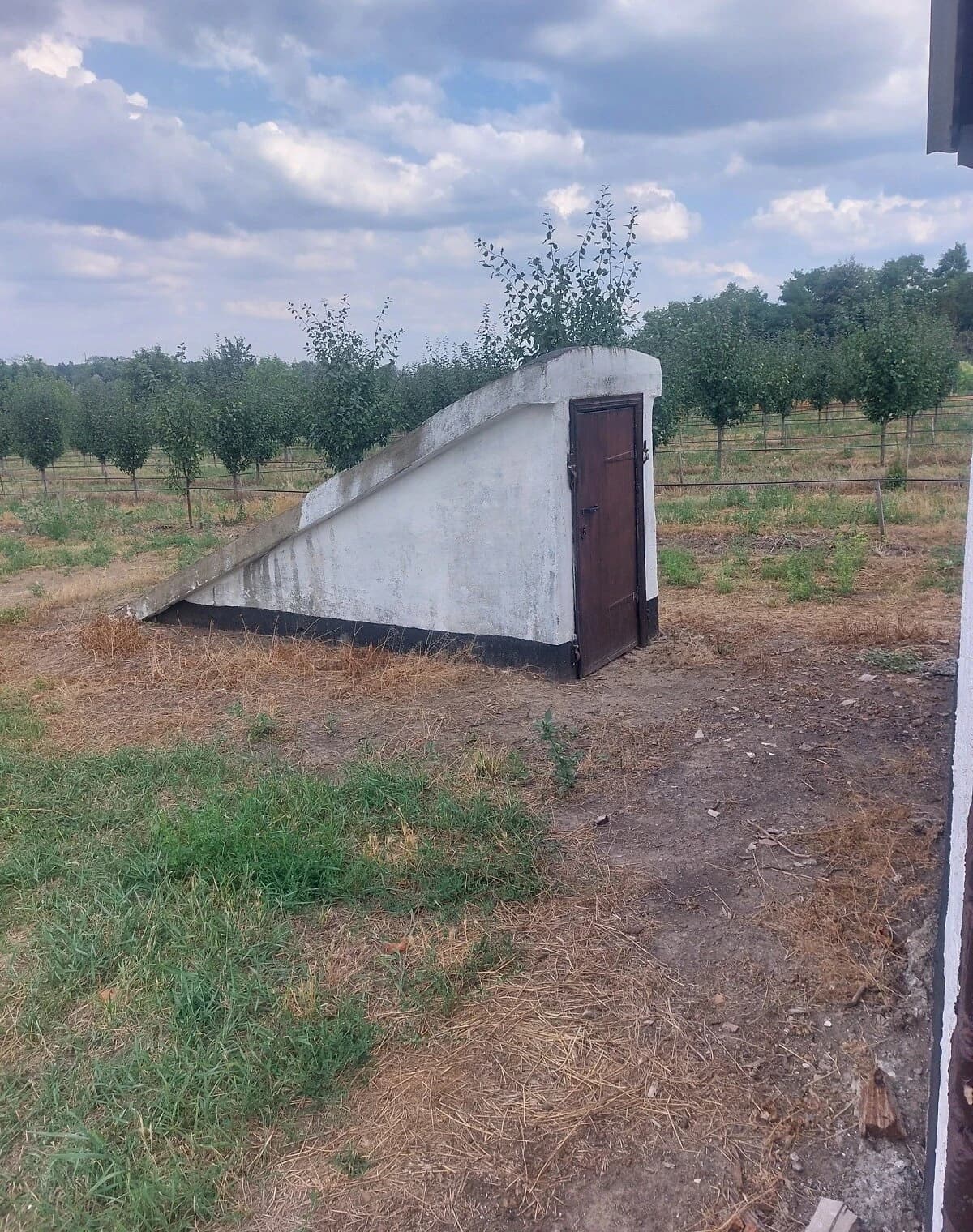Виробниче приміщення, Сигнаївка: діючий бізнес, 2,5 га - фото 4