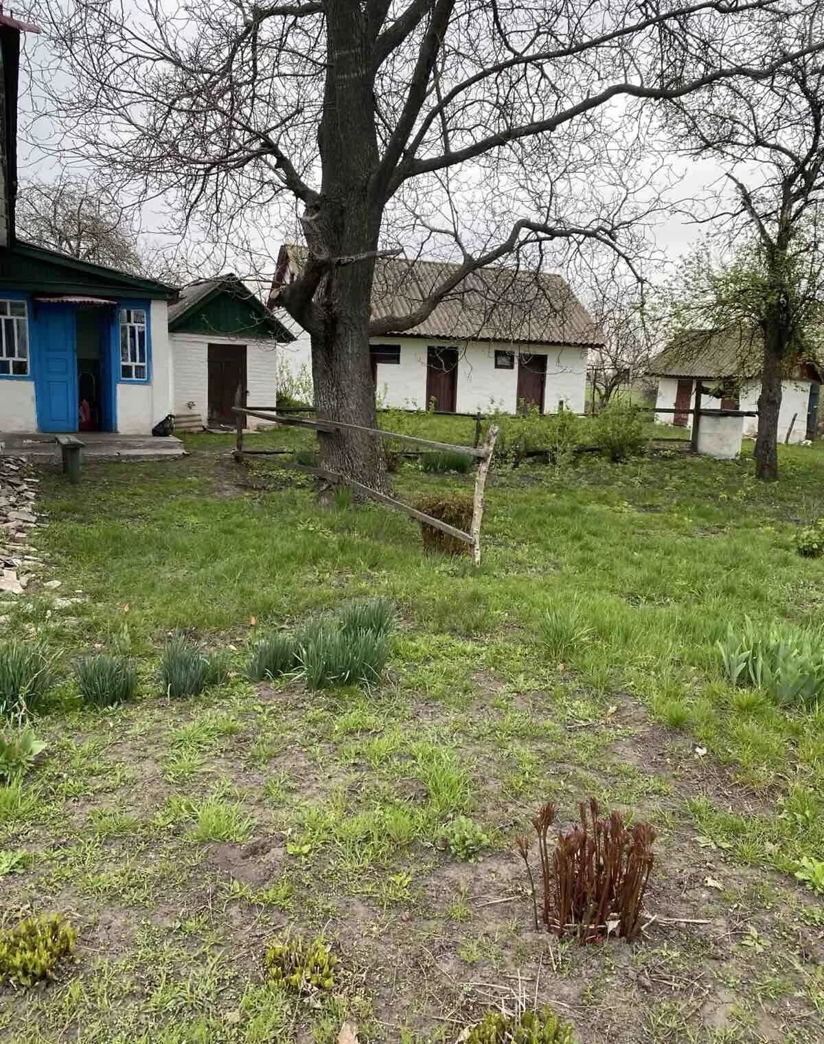 Будинок, Кононівка: опалення, свердловина і криниця - фото 2