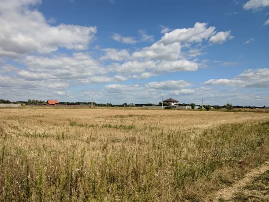 Ділянка 25 соток, Дударків: під забудову, електрика - фото 4