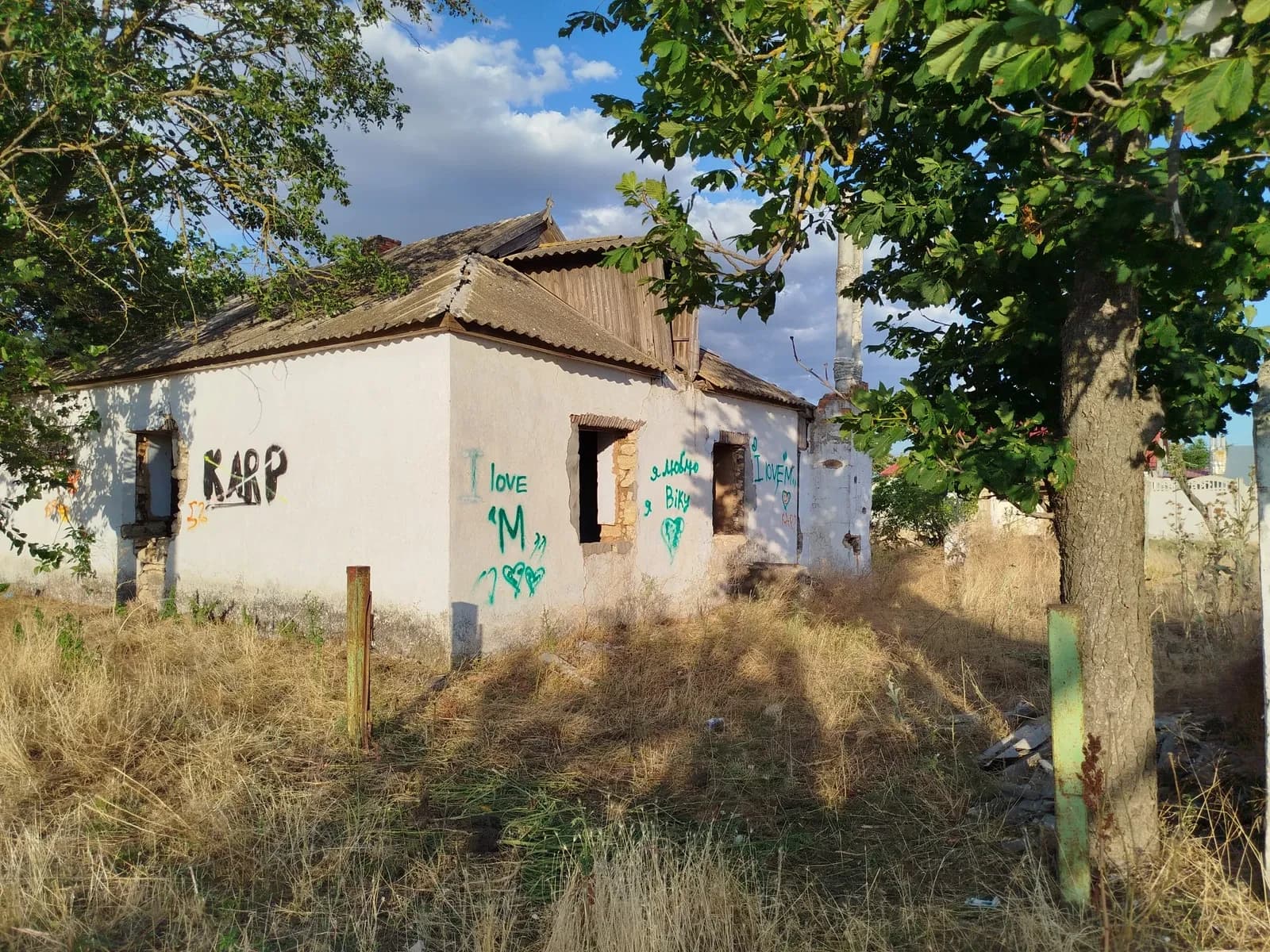 Частина будинку, Кринички: 12 соток, під відновлення - фото 2