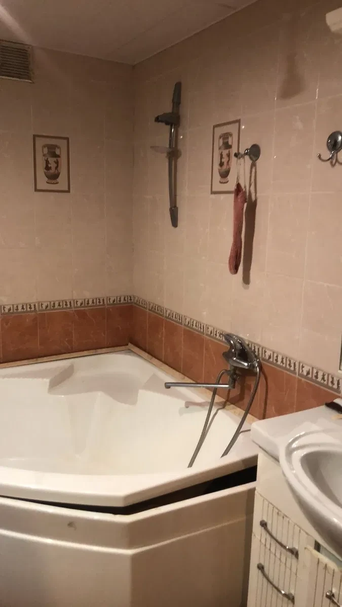 Будинок, Воля: 24 сотки, газифікована теплиця, гараж - фото 3