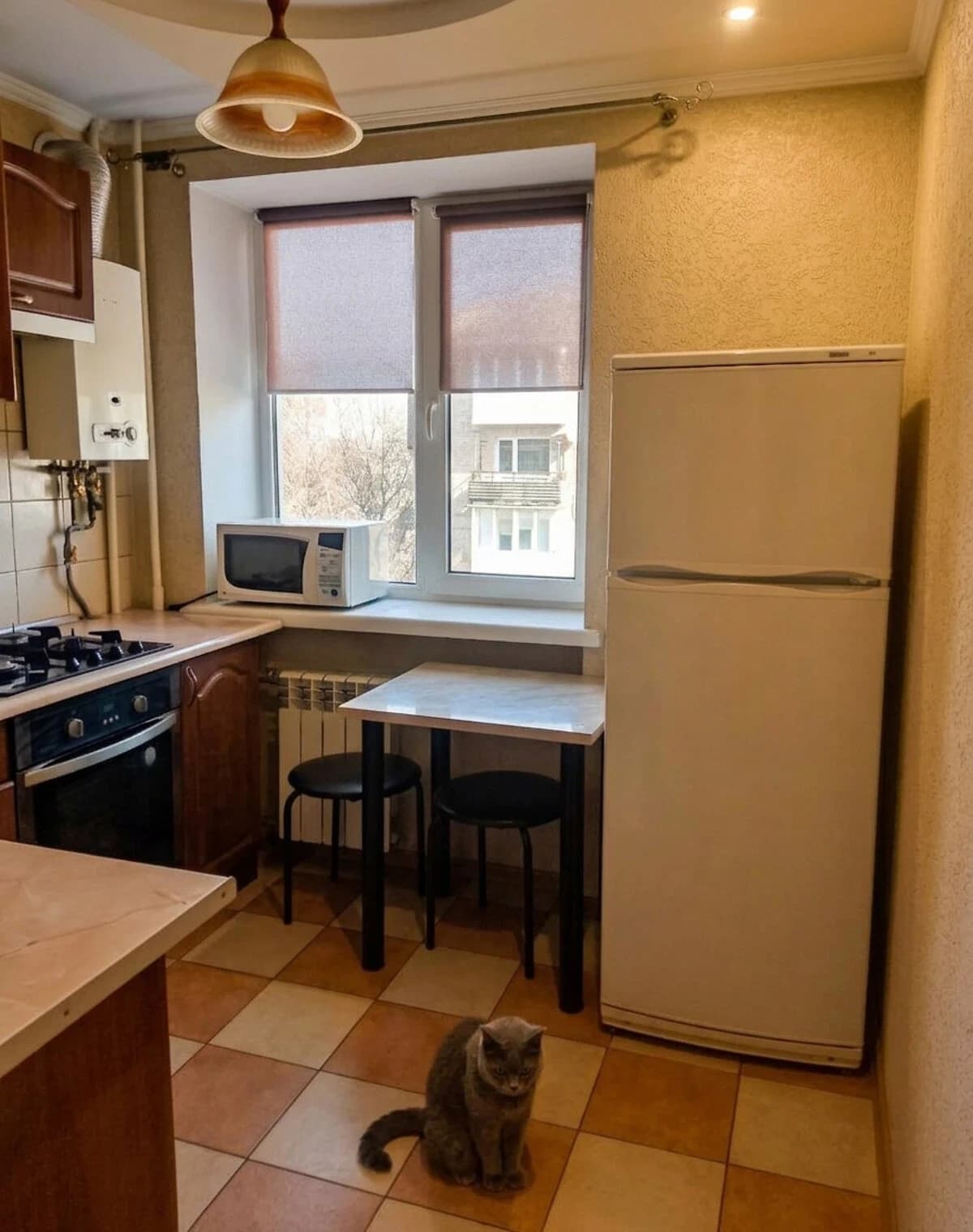 1-кімнатна квартира, Гнідава: євроремонт, торг можливий - фото 3