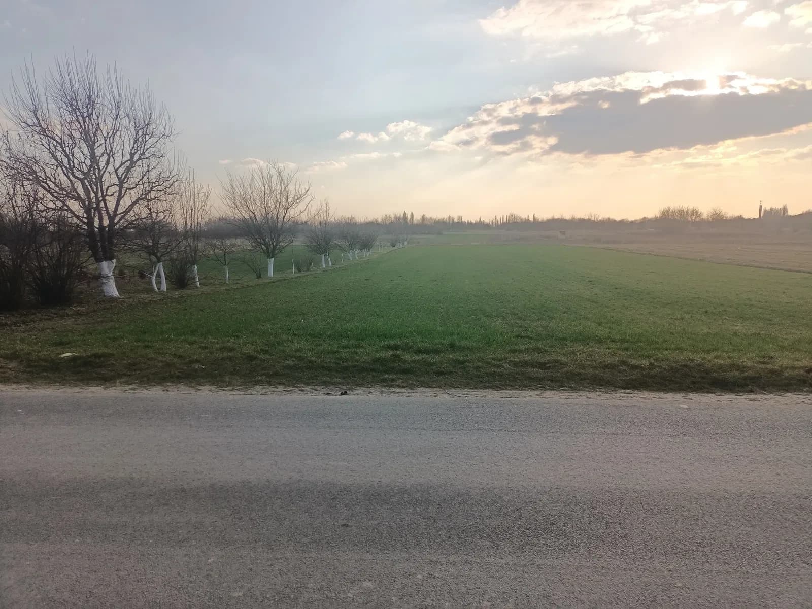 Ділянка 30 соток, Рокині: асфальтований під'їзд, газ по межі, 20 хв до центру - фото 1