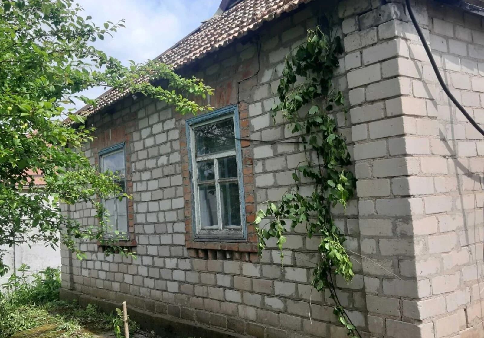Будинок, Лозуватка (Дніпро): цегляні стіни - фото 2