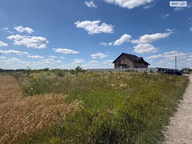 Ділянка 22 сотки, Почапинці: житлова забудова, електрика і газ - фото 3