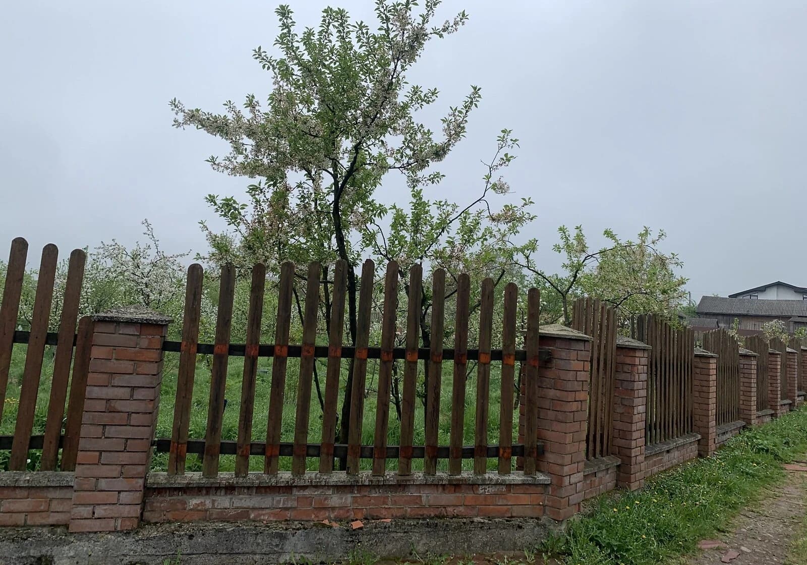 Ділянка 11 соток, Росільна: житлова забудова, криниця