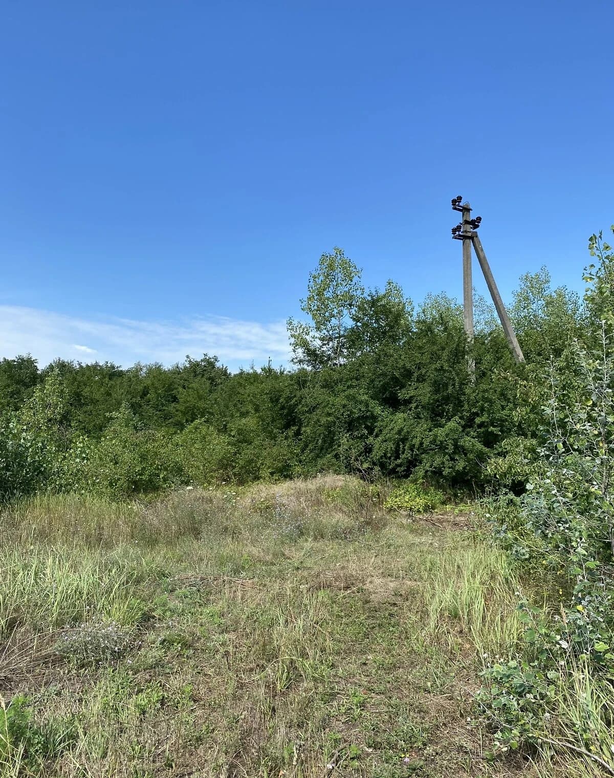 Складське приміщення, Чепа: недобудова, ділянка 3,36 га - фото 4