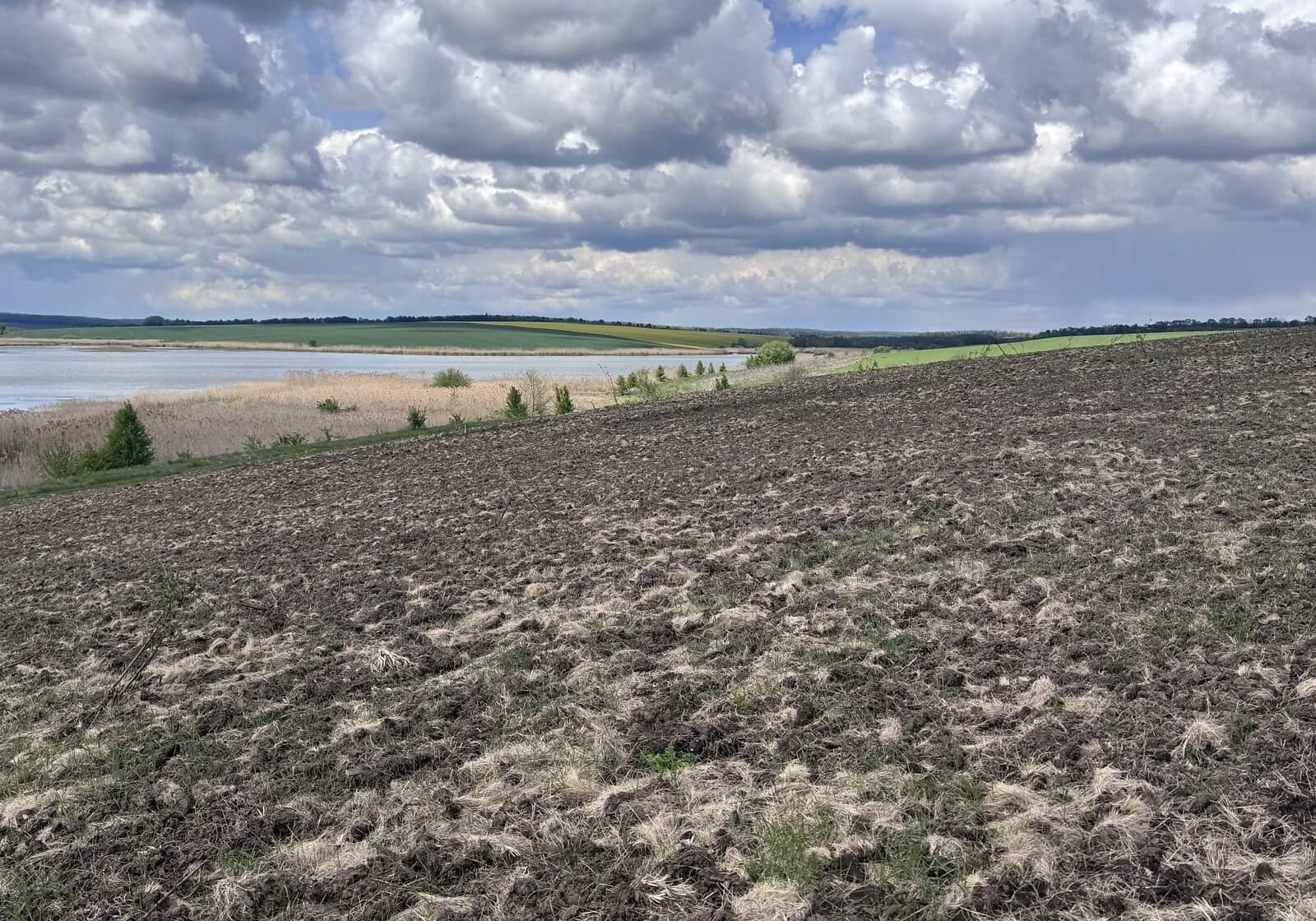 Ділянка 400 соток, Жмеринка: природне озеро, чорнозем