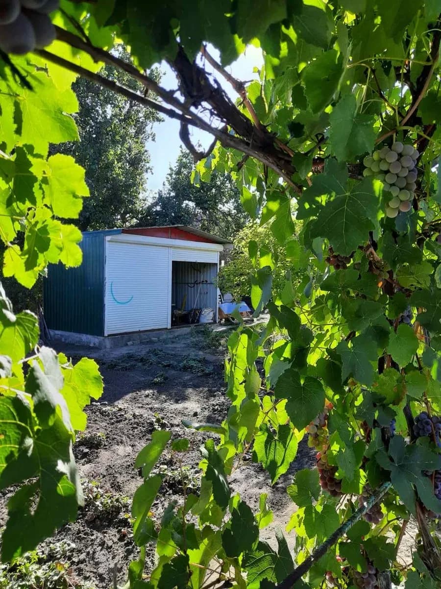 Дача, Новолозуватка: 12 соток, річки Бокова та Боковенька - фото 5