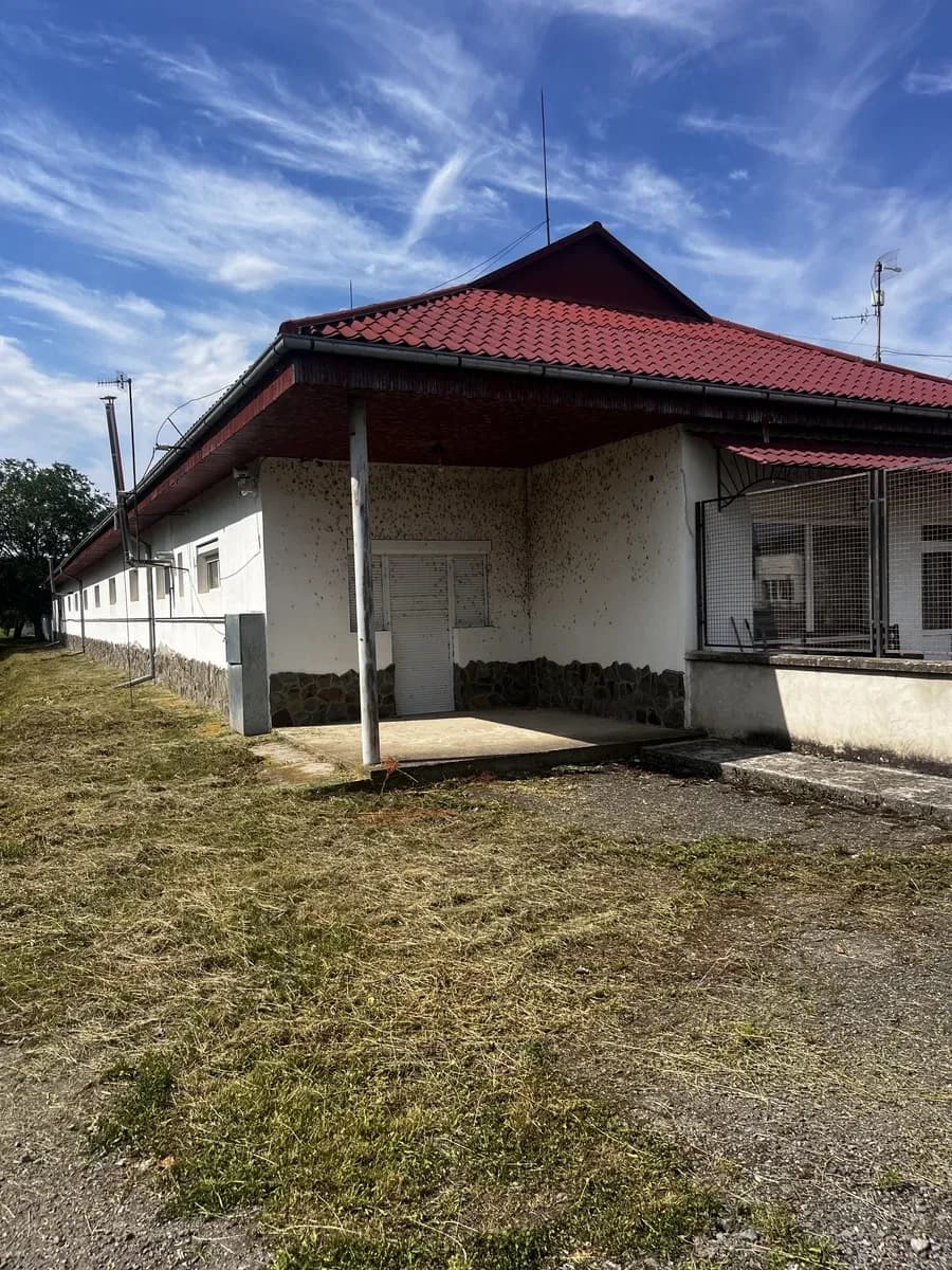 Склад, Пійтерфолво: гараж, свердловина, охорона території - фото 3