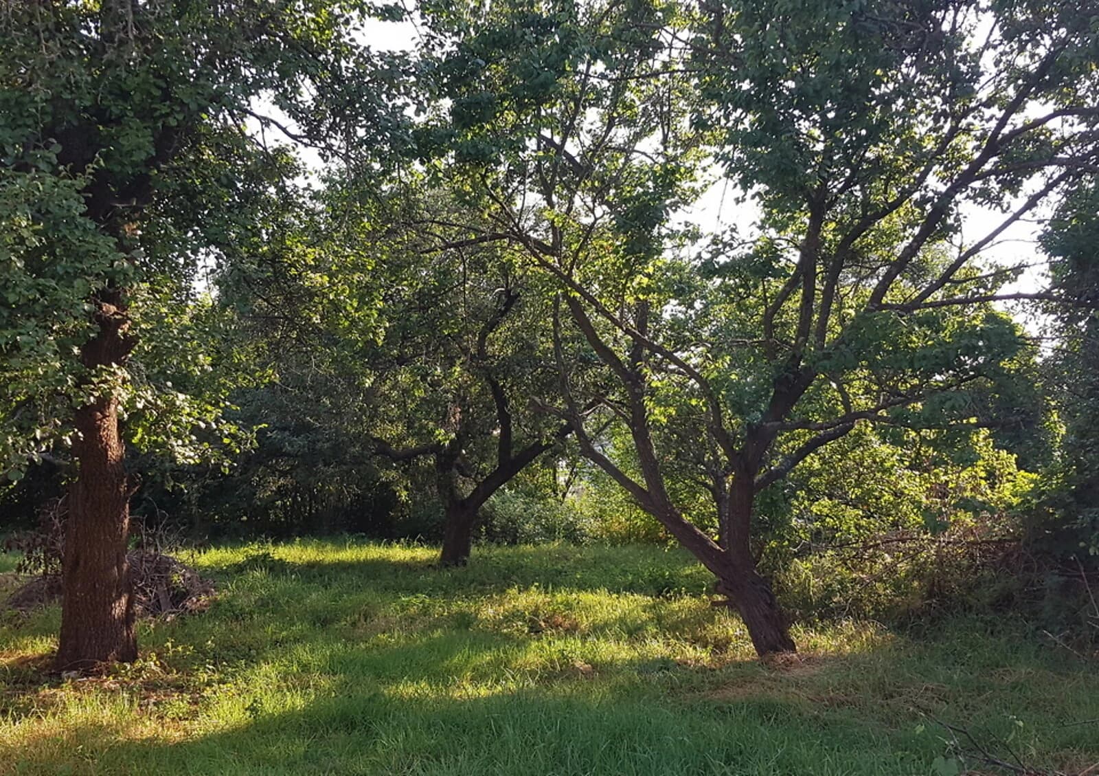 Будинок, Пісочин: бесідка, ділянка 1500 м², газове та пічне опалення - фото 4