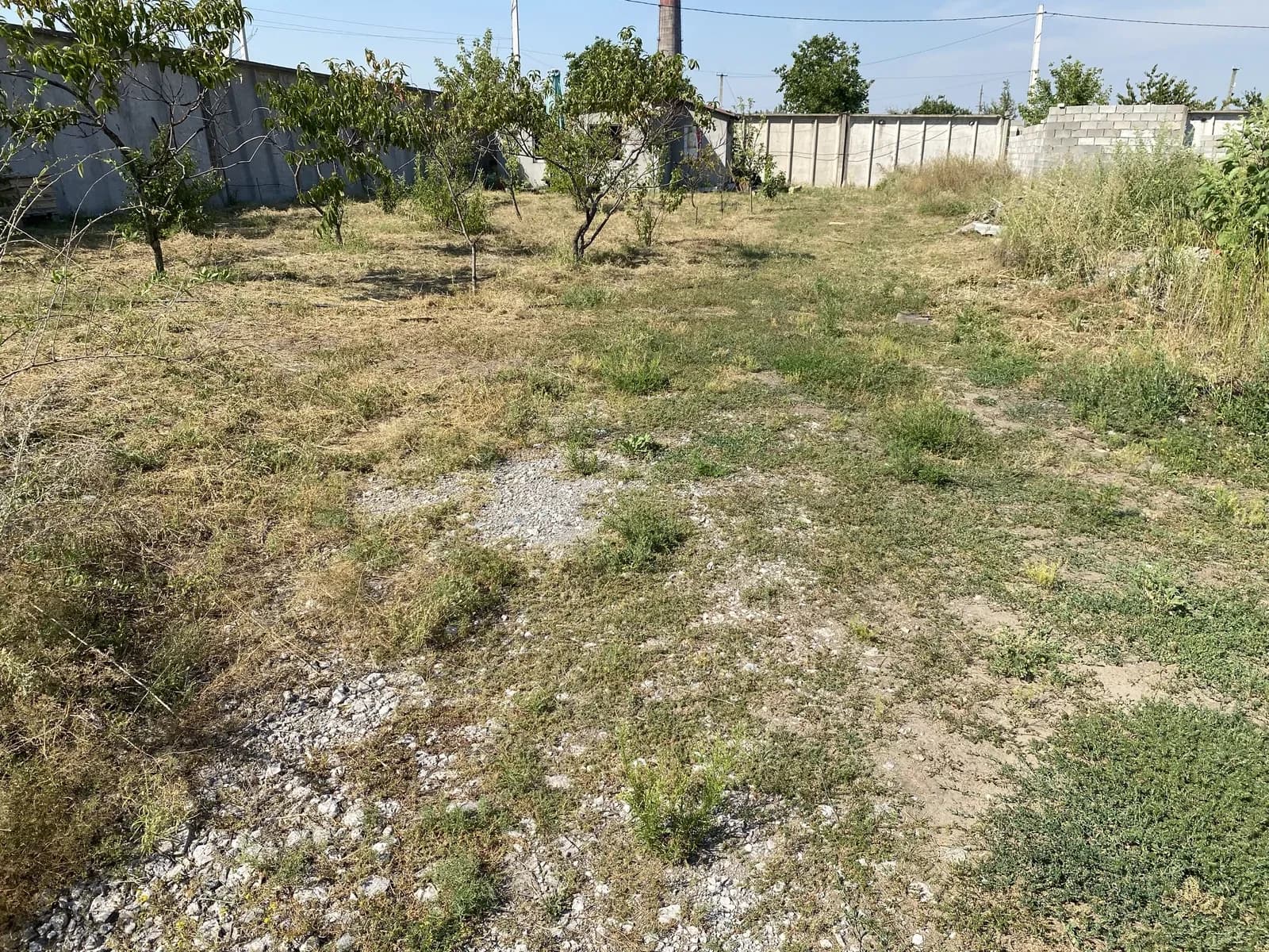Ділянка 30 соток, Курилівка: виноградник, будинок-баня, обмін - фото 3