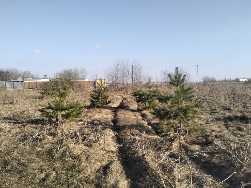 Ділянка 10 соток, Глибочиця: обмін на автомобіль - фото 4