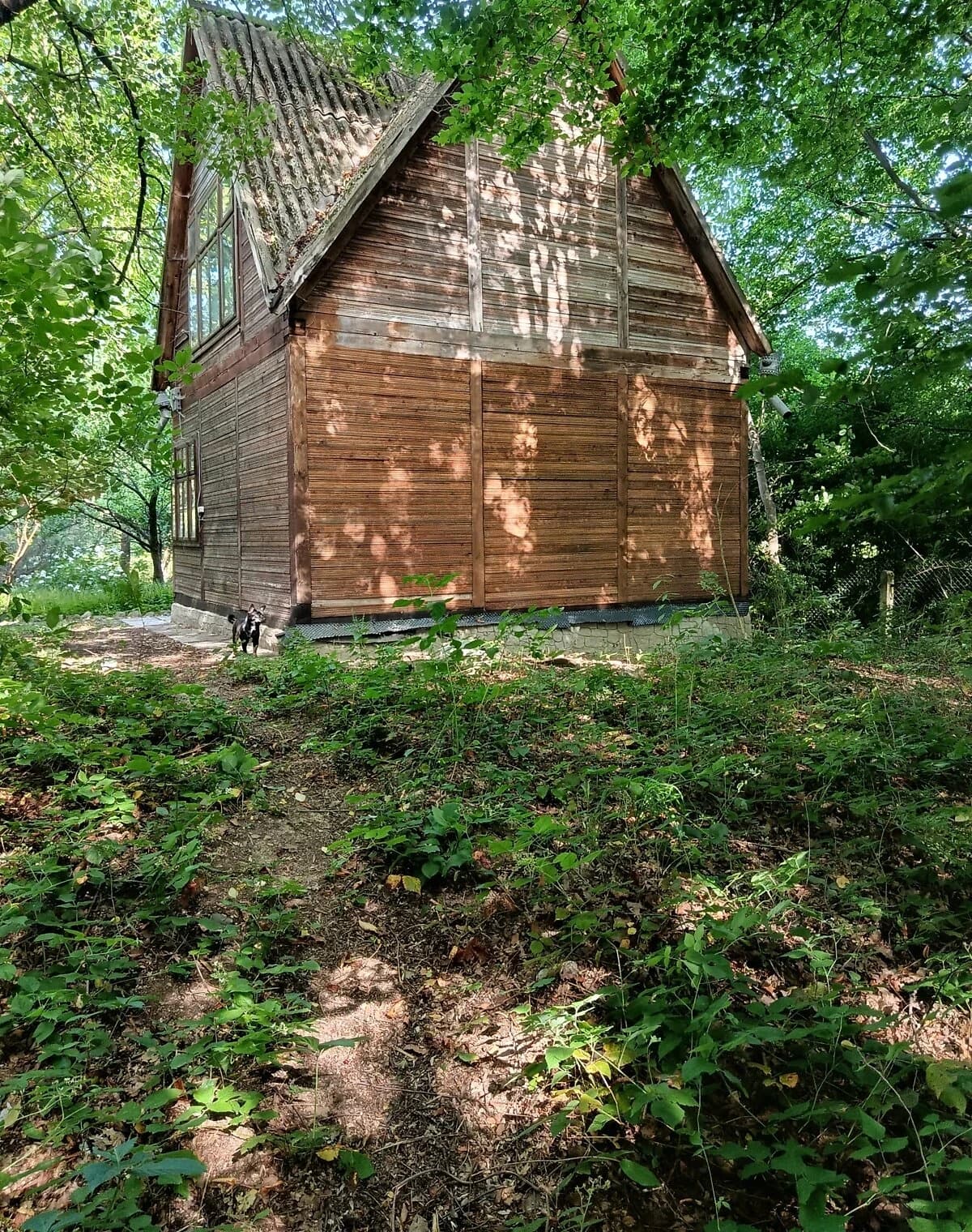 Дача, Сторожинець: 2 поверхи, ділянка 5.7 сотки - фото 5