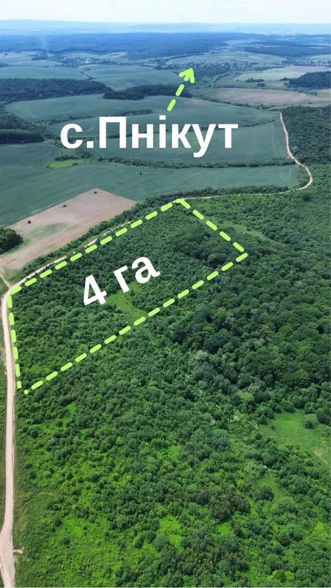 Ділянка 4 000 соток, Пнікут: ОСГ, дорога, торг
