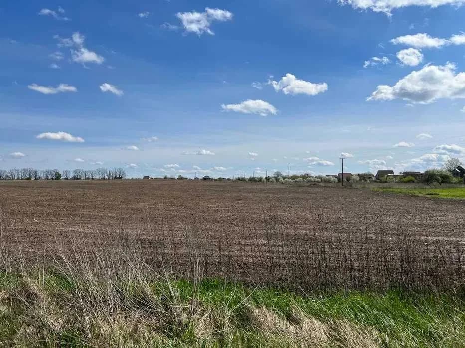 Ділянка 300 соток, Безуглівка: житлова забудова, ліс та озеро - фото 3