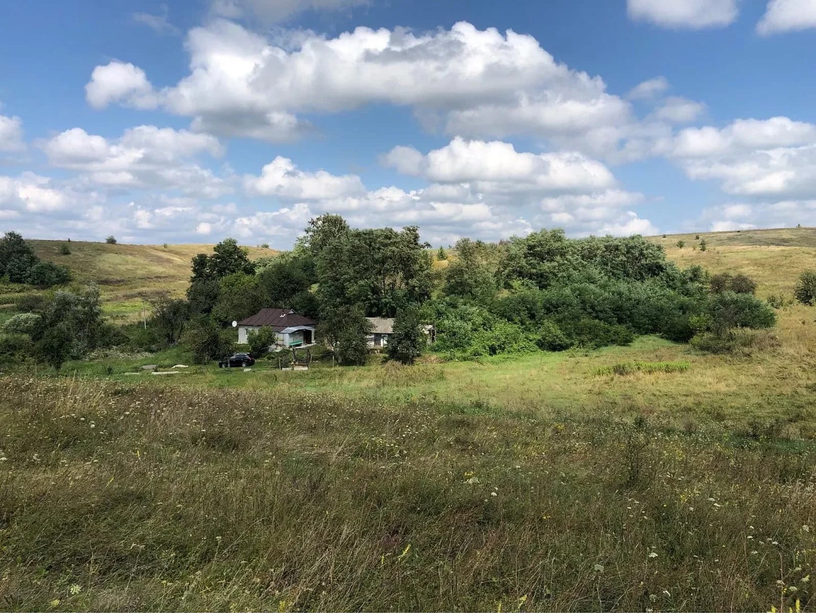 Ділянка 75 соток, Холодний Яр: панорами, будинок, туристичний проєкт - фото 4
