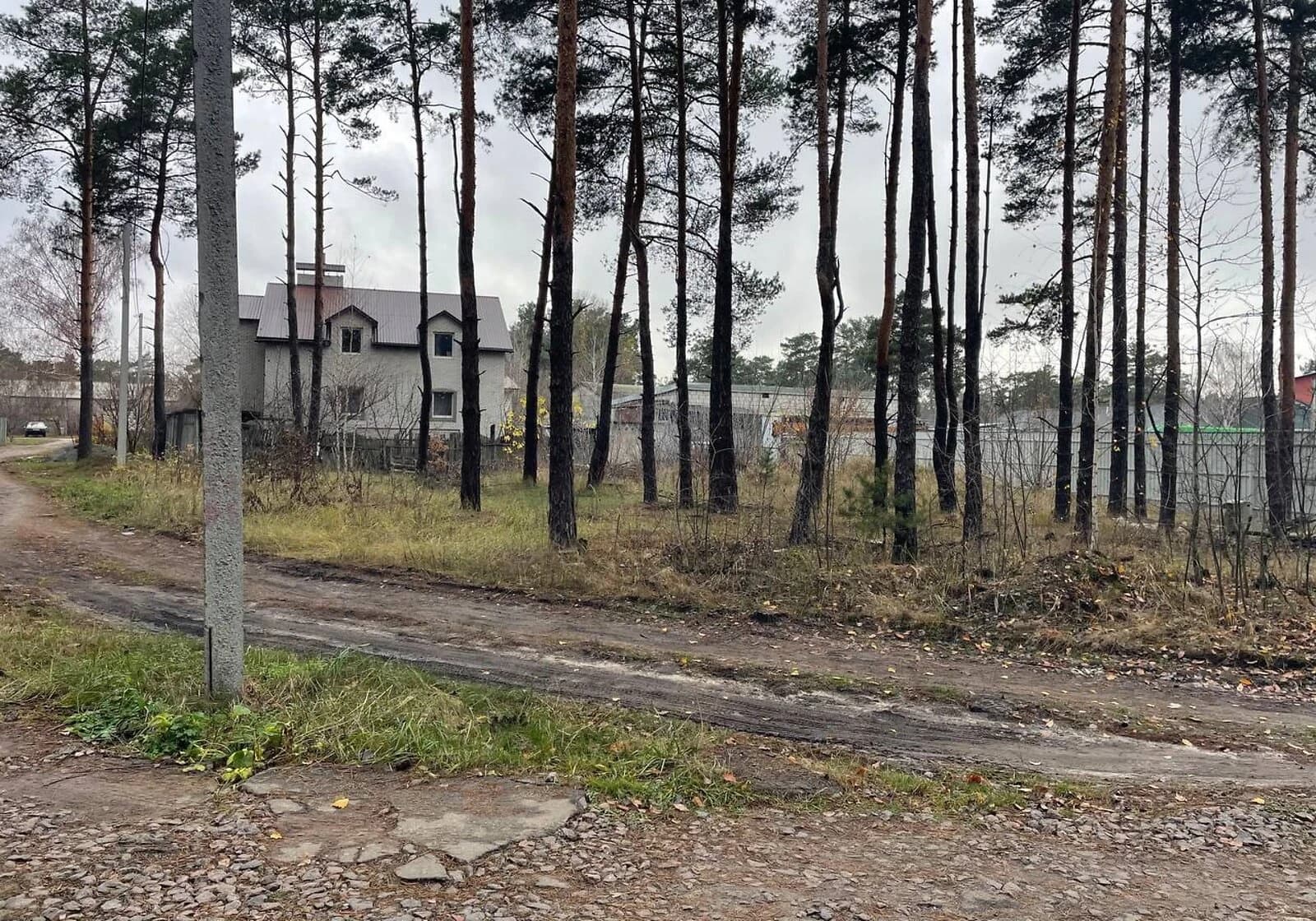 Ділянка 9.85 соток, Биківня: під житлову забудову, сад - фото 2