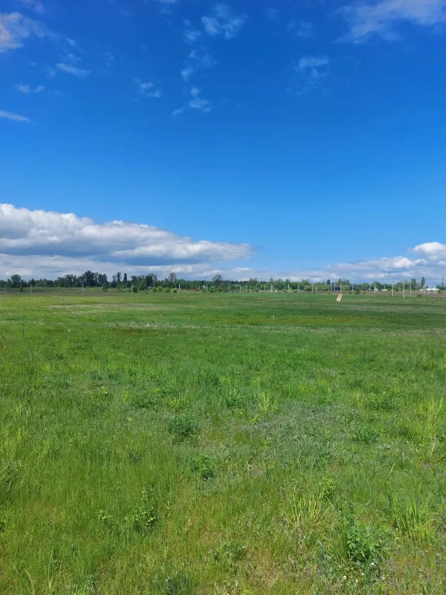 Ділянка 12 соток, Нові Петрівці: під будівництво, ліс і море - фото 2