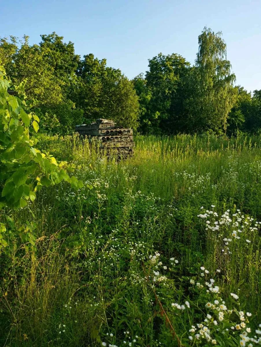 Ділянка 15 соток, Лукавиця: будинок, сад, свердловина - фото 4