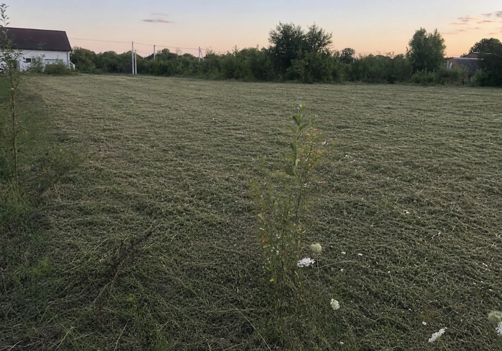 Ділянка 19,22 сотки, Парпурівці: під житлову забудову, рівнинний рельєф - фото 1