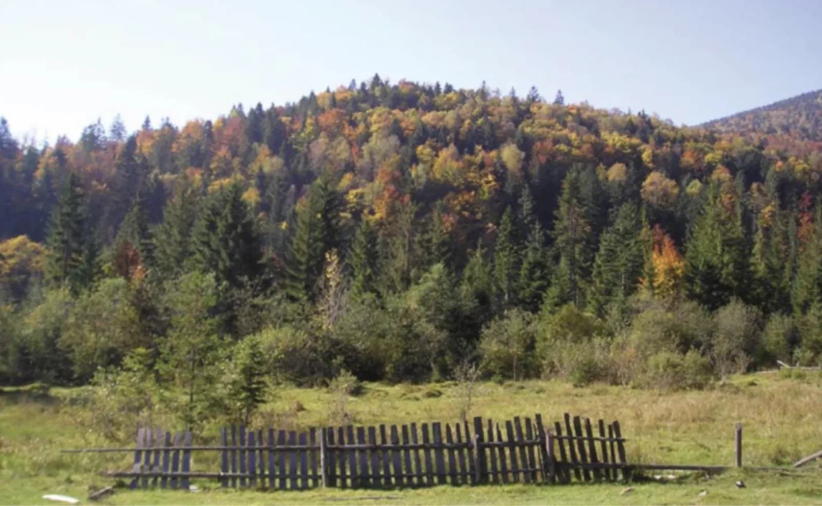 Ділянка 108.09 соток, Шаян: мінеральне джерело, озеро за 1 км - фото 3