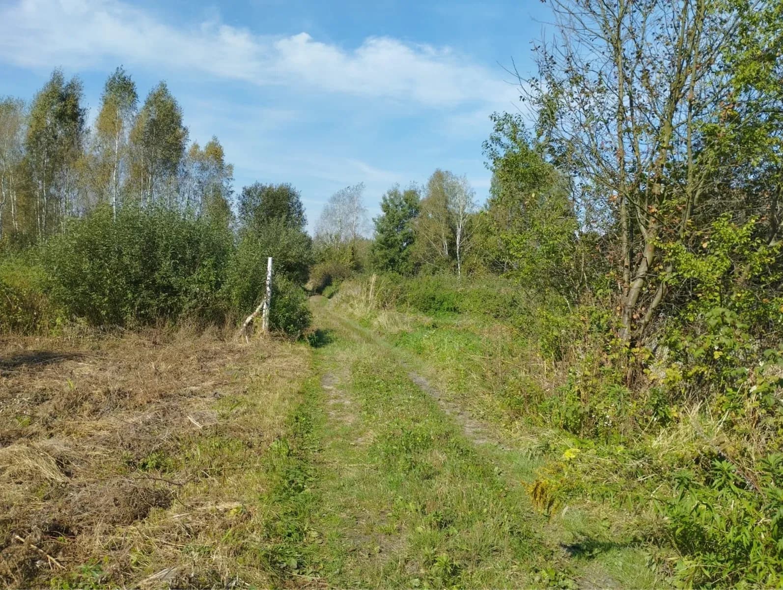 Ділянка 5.93 соток, Підрясне: рівна, електрика поруч - фото 2