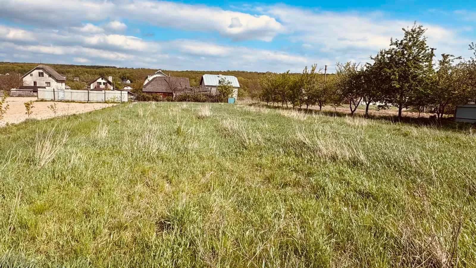 Ділянка 15 соток, Павлівка: під житлову забудову, сад із 21 деревом - фото 4