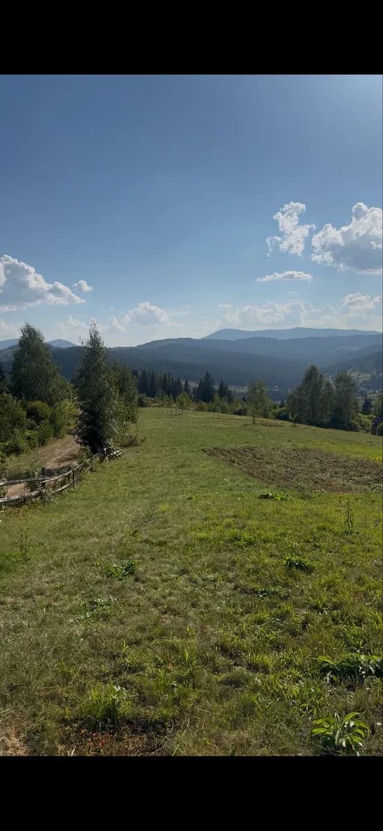 Ділянка 200 соток, Вишків: газ за 500 м, світло біля ділянки - фото 3