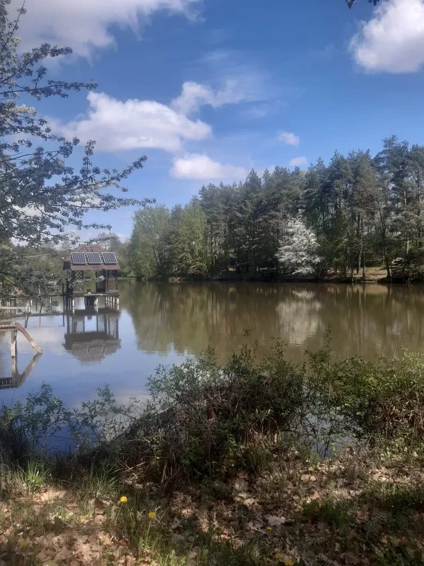 Фермерське господарство, Гуменне: зона відпочинку, 7 га лісу - фото 3