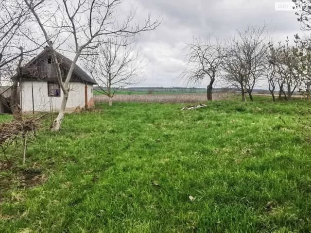 Дача, Васьківці: 34 сотки, сад, централізоване опалення - фото 4