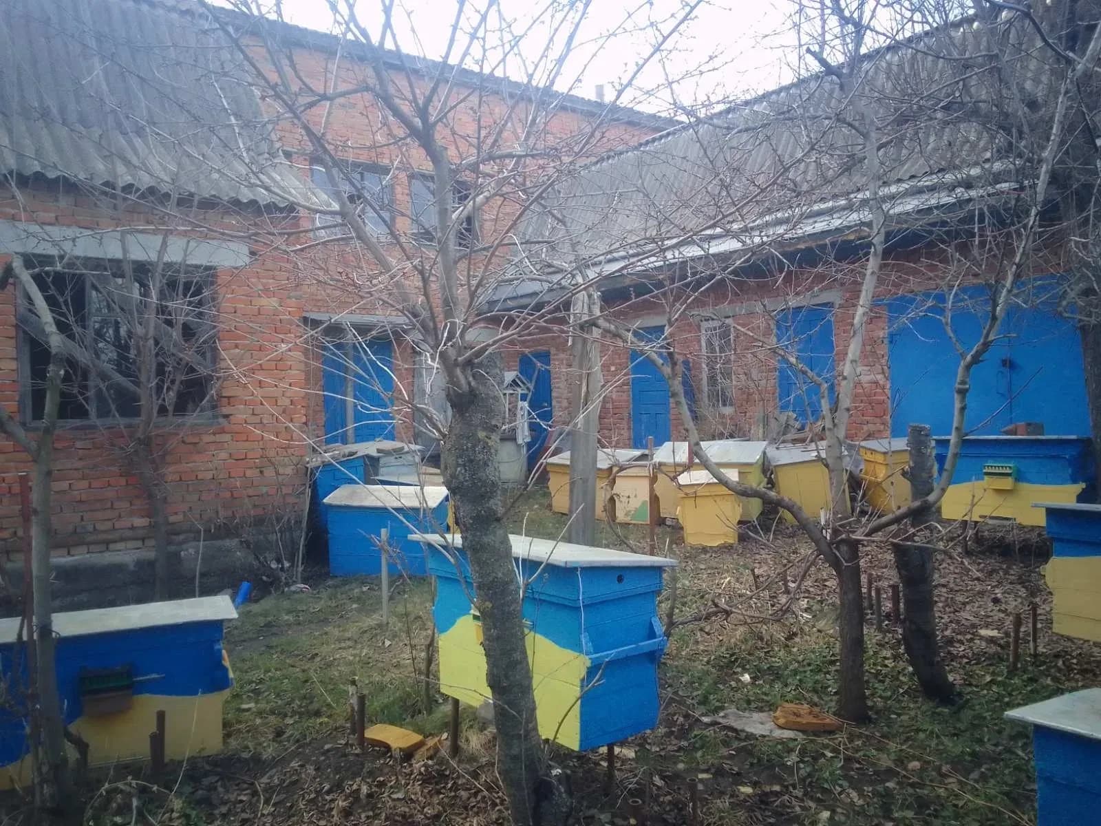 Будинок, Будківка: будиночок на бджолах, три фази, понад 70 дерев - фото 3