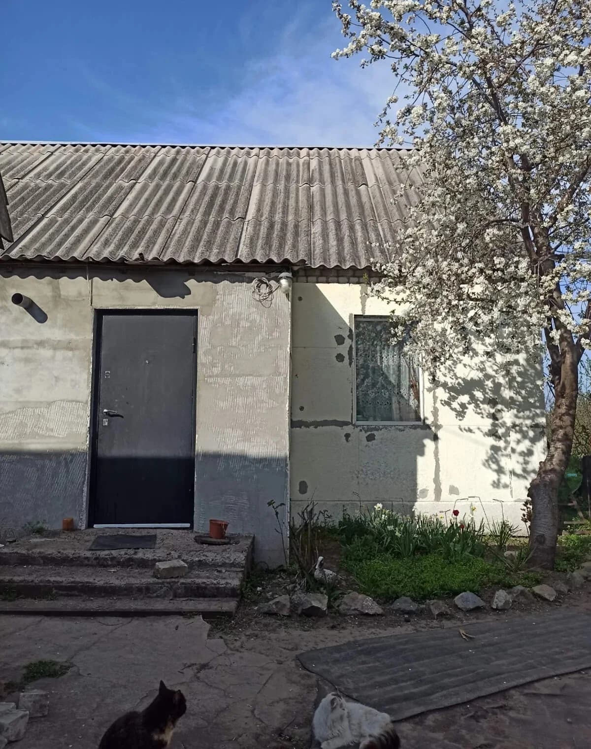 Будинок, Аули: гараж із підвалом, літня кухня - фото 4