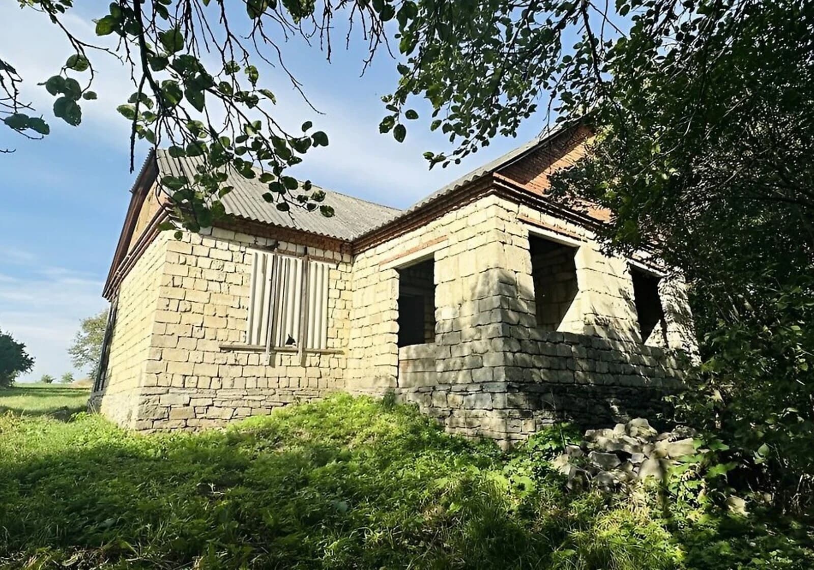 Будинок, Вільховець: ділянка 37 соток, господарські будівлі - фото 5